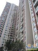 西西学府里(二期)1室1厅西南