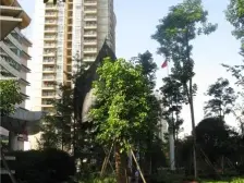 锦华源 3室1厅 南 北