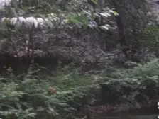 学田湾社区 2室1厅 东南