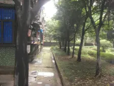 房子是正规二室一厅户型方正拎包入住