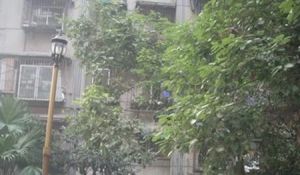 虹波苑3室1厅东南