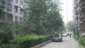 虹波苑2室1厅南