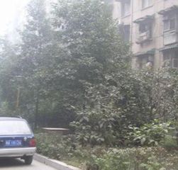 虹波苑2室1厅东南