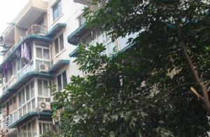 上东花园1组团 2室2厅 南 北