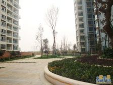 上行锦绣 1室1厅 东