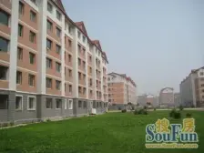 龙头寺 兴馨嘉园四房160万