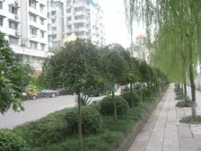 石桥铺九龙坡科园二街 近歇台子和奥体 随时看房配套全