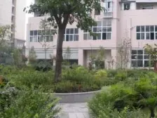 城北新区 云山花园三房96万