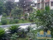 创泰安居大厦 1室1厅 东南