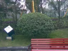 隆鑫国际 3室1厅 东南