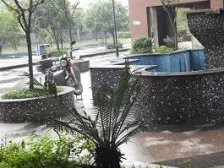 住家精装修,户型方正,采光好,视野无遮挡