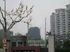 南北景观+面朝金沙公园+13号线地铁口+苏河源综合公园