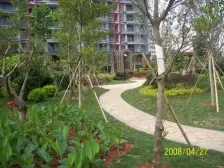 Bs旁,楼下就是公交车站跟轻轨站,上6楼,一梯一户