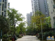 优品尚东 3室2厅 南