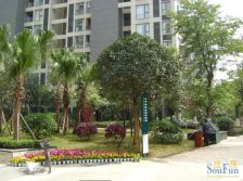 优品尚东 3室2厅 南 北