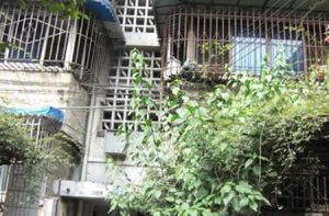 金琴路南三巷3号2室1厅东北