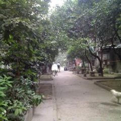 抚琴东南路1号 2室1厅 东南