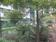 5号线轻轨房 门口轻轨公交站 3房2卫外阳台