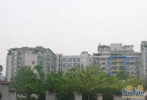 聚星城1室1厅东南