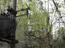 枣子巷17号 2室1厅 东南 西北