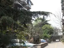 枣子巷17号 2室1厅 西