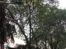 枣子巷17号 2室1厅 西