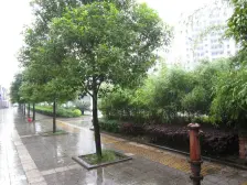 自然博物馆竹芸山水朝南户型大两室精装修拎包入住