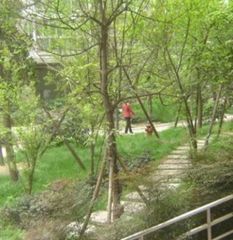 沙河风情2室1厅南