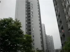 红狮大道21号 1室1厅 南