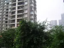 轻轨站出行方便,正规一室一厅,