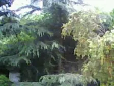 南坪 商业大楼(南坪)一房