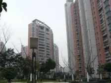 联洋·联洋年华·1室·1厅