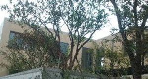 一江城花1室0厅南