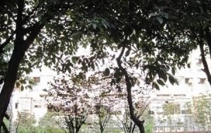 一江城花 1室1厅 东北