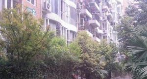 马鞍北路51号3室1厅东南