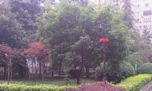 马鞍北路51号3室1厅东南南