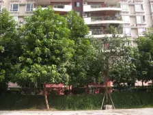 板式住宅,户型方正,住家安静,业主安心卖