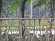 九宫庙 和爱嘉园一房36万