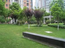 电梯高区,厅朝南,房间朝南,位置安静,采光充足