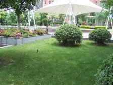 诚意十足,小区安静位置,高区景观,采光无遮挡无缺点