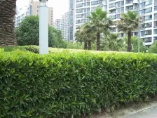 联洋城市别墅,空中花园+私家车库,可停两部车