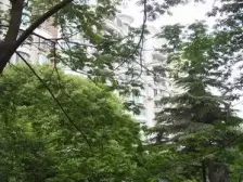 联洋高区景观房 南面正看世纪公园全景 近学校商场地