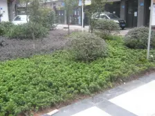 单价低 大一室 户型方正采光好拎包入住