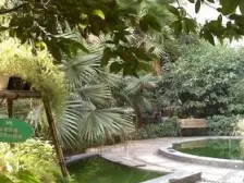 解东路 望江公寓二房113万