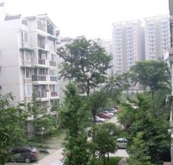 桃李园2室1厅南