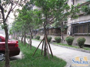石人南路8号1室1厅南