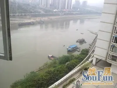 实景图