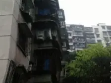 石坪村 2室1厅 东 东南 西南