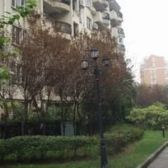 GOOD~带阁楼,带露台,业主诚意出售。