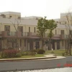 环绿国际别墅实景图